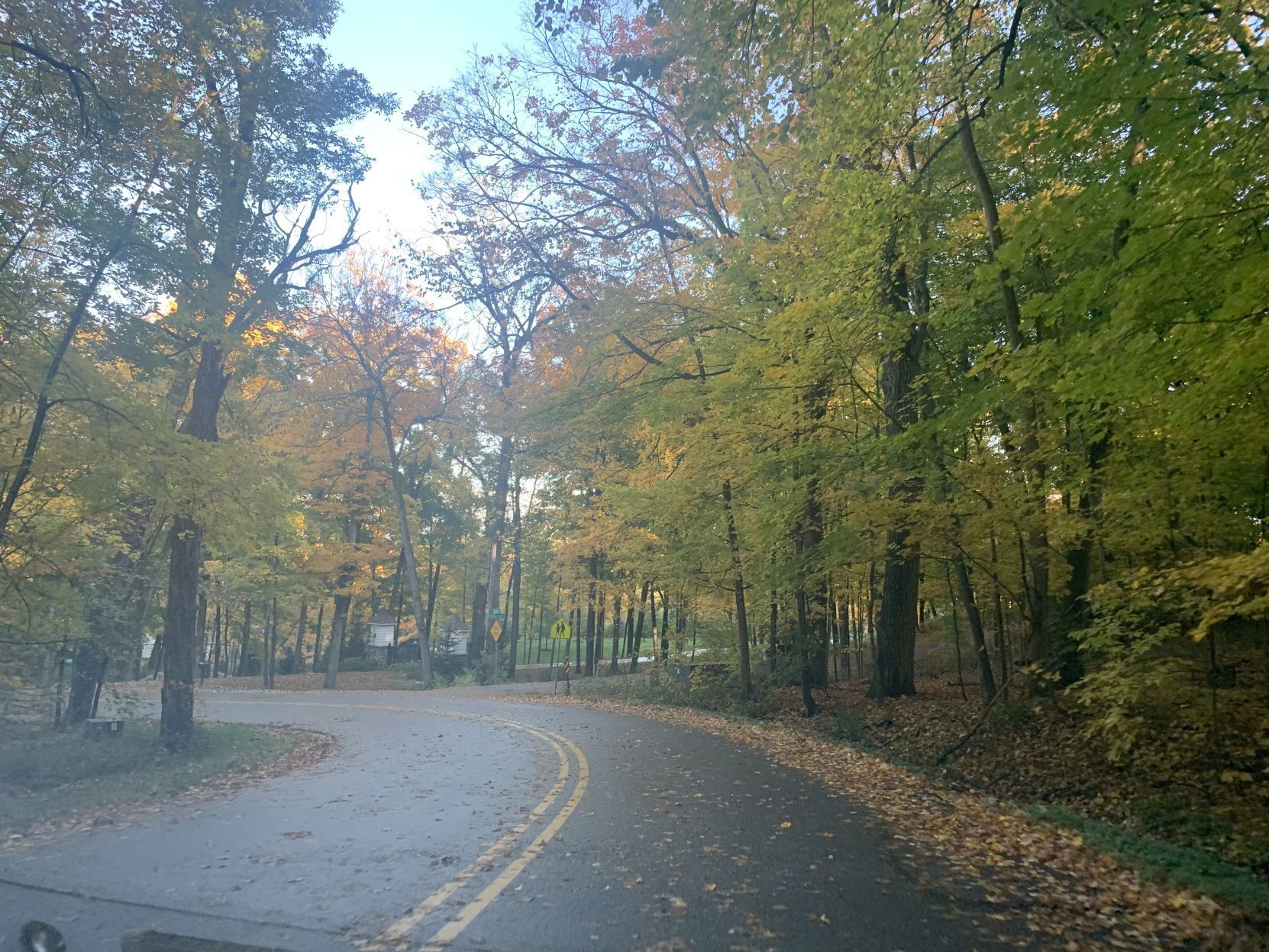 Snake Road fall colors